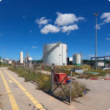 Maamoura/Baraka image 2